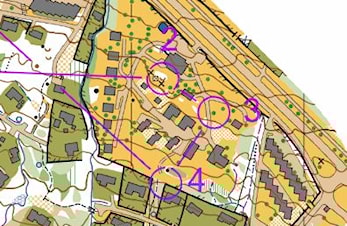 Fin 35.plass til Gaute i HL-sprint