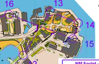 Silje på fjerde i sprint NM