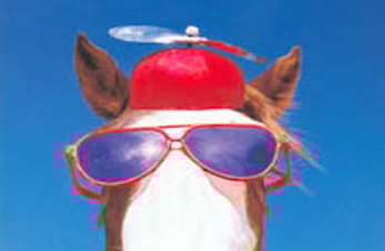 Ynskje du privat time i sumar?