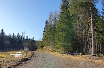 Kaffeservering ved Botnmyra søndag 14.mai
