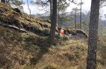 Nærløp Sundsdalen 10.5 - resultat