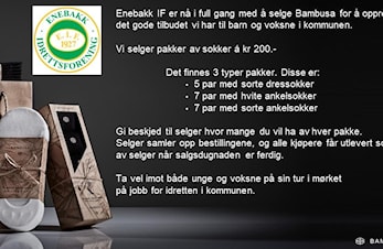 Bambusa våren 2023