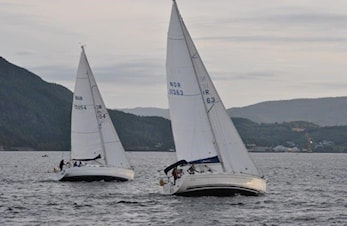 Temamøte - onsdag 12. april