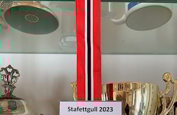 Medaljegave til klubben