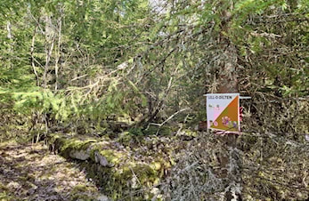 Lill-O-Dilten, post 11-20 på Romstjernkartet finner du nå i skogen