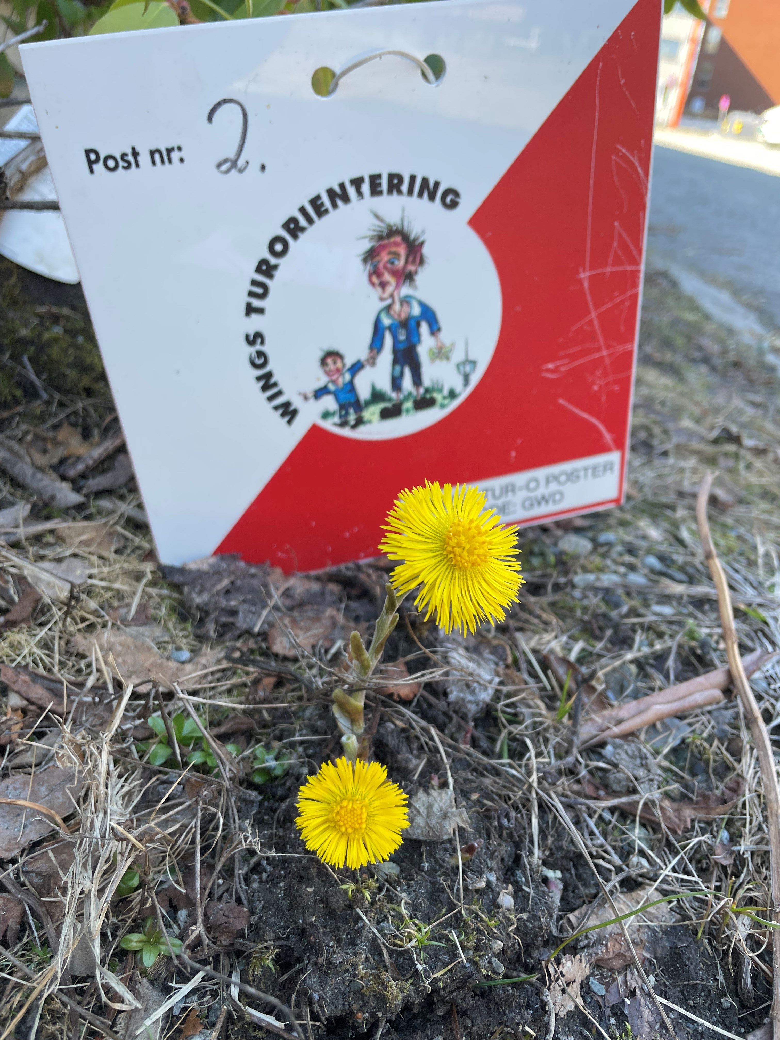 Image for Fuglmyra Postene 1- 10, står nå ute