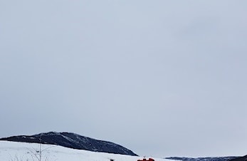 Treningsløp Orientering
