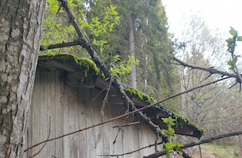 Treningsløp Hallingdal feriepark onsdag 24/5-2023 kl.18