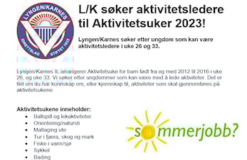 Har du lyst å jobbe for L/K i sommer?