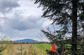 Orientering i høstsesongen