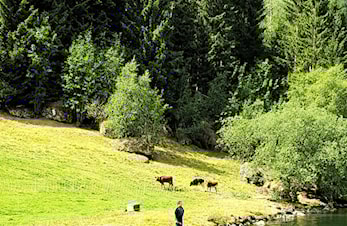 FRILUFTSHELGA HYEN TRIATHLON 2019