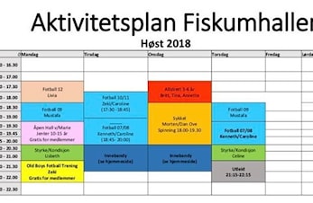 Aktivitetsplan for høsten 2018
