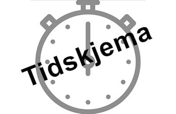Nyttårsleker