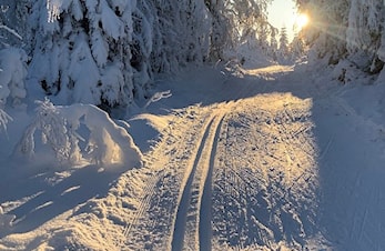 Melhus Orientering inviterer til «skiorientering» på Kregneskjølen!!