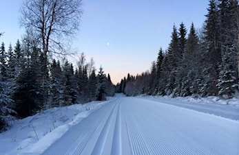 Oppkjørte skiløyper