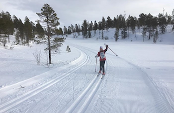 Bli med på Sørfjellrennet 2018