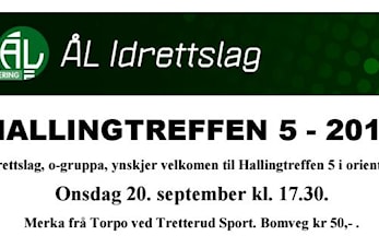Hallingtreffen 5 på Syningen