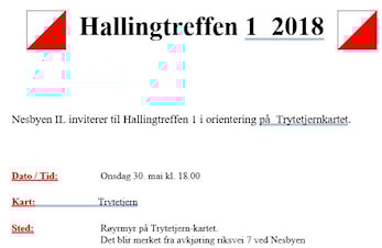 Hallingtreff 1 på Nesbyen