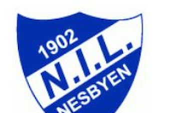 Hallingtreffen 5 på Nesbyen (Trolltjern)