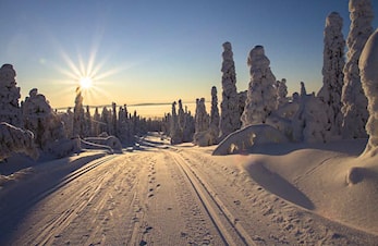 Bjerke IL Ski familiesamling Beitostølen 29 nov - 1 des 2019