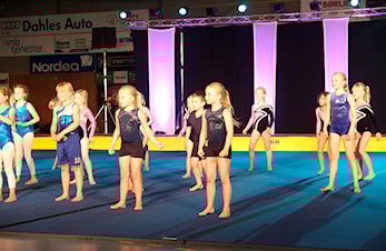 Gymnastikkfestival 2018