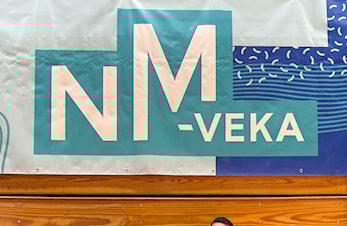 Norgesmesterskap