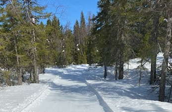 Men vinteren er ikke over!
