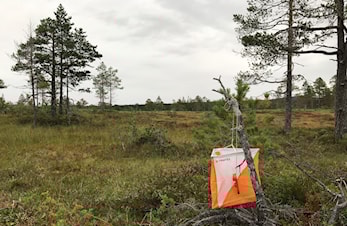 Ukas Stjørdalskarusell i Remarka