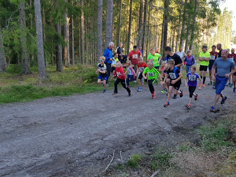 Halmsås trimkarusell 4 løp