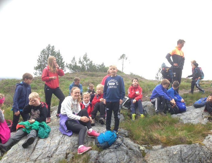 Sommaraktivitet 2017