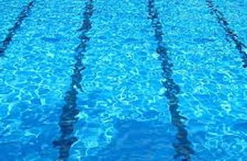 Høstens stevner 2020