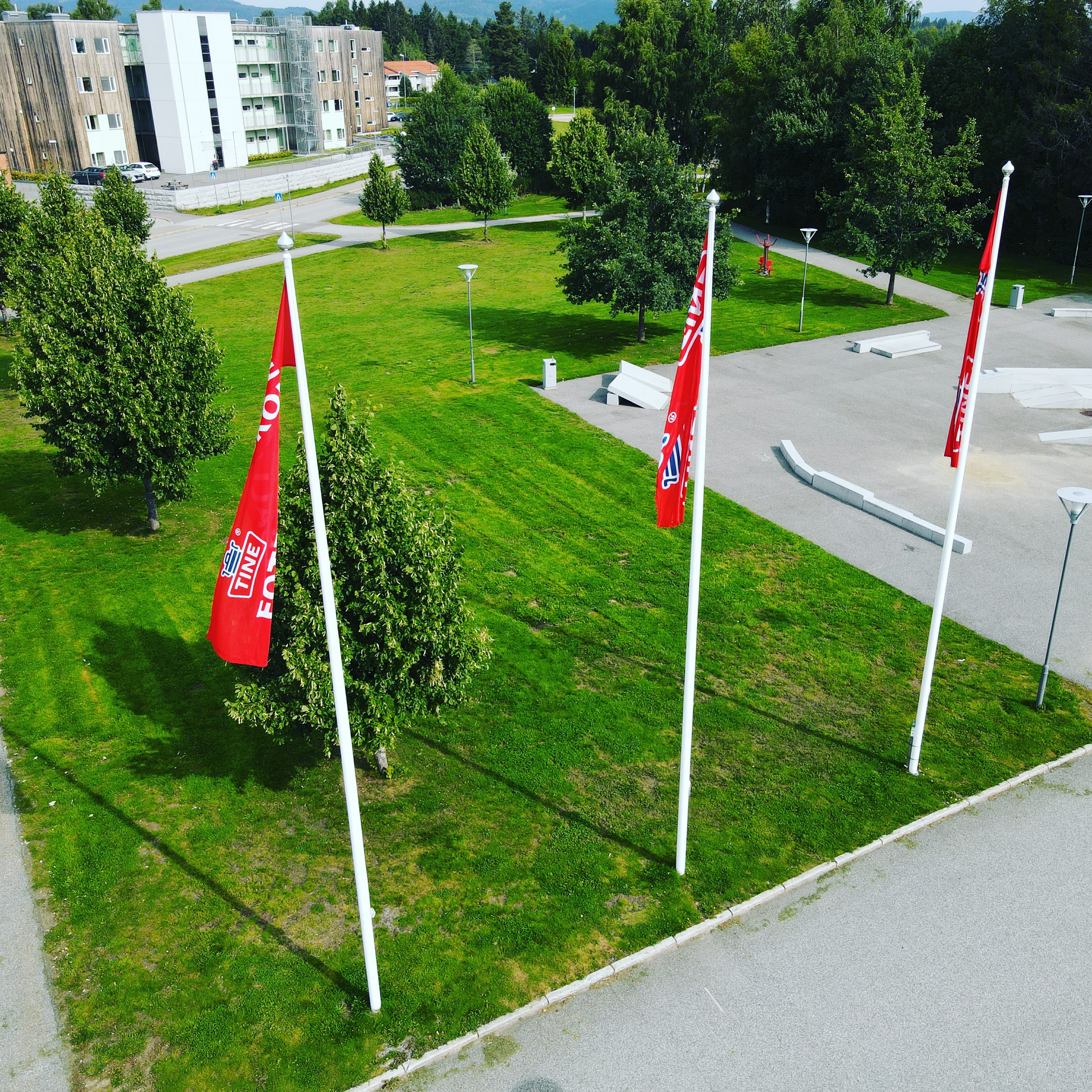 Tine Fotballskole 2020