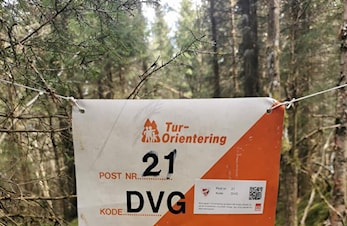 Tur-orientering