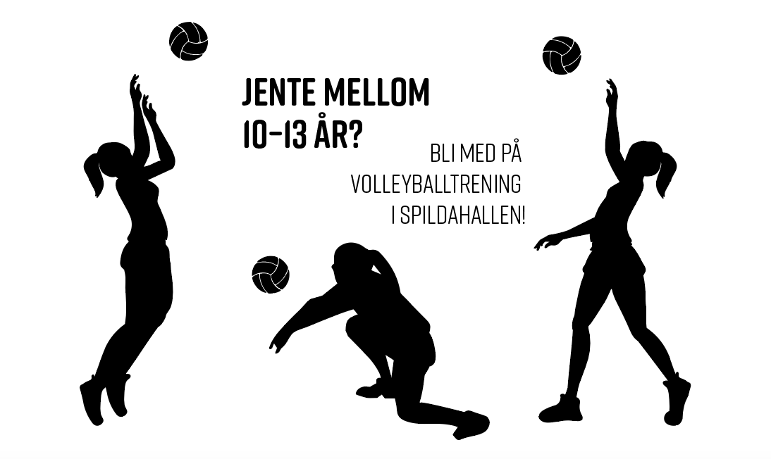 Lyst å spele volleyball?