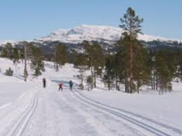 Hærvolrennet 2017 - deltakere og resultat
