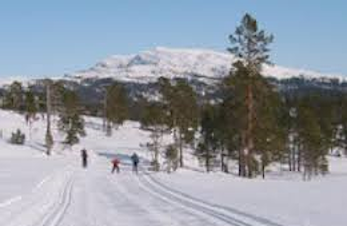 Hærvolrennet 2017 - deltakere og resultat