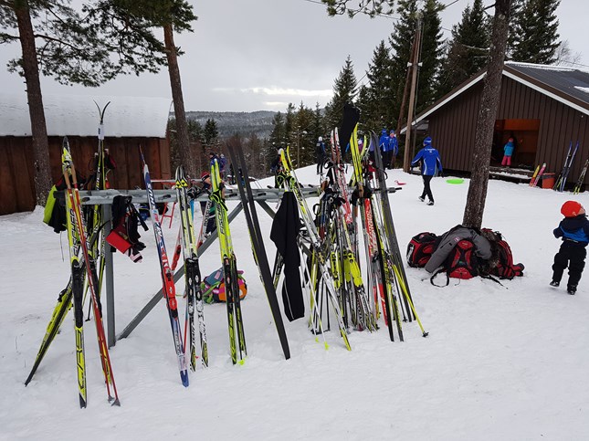 Telenorkarusell 16.01.2018 Deltakere og resultater