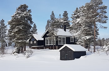 TRIMBØKENE SESONGEN  2018/19