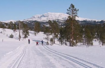 Hærvolrennet 24.02.2019