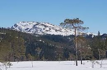 Hærvolrennet 2022 arrangeres 26. februar:)