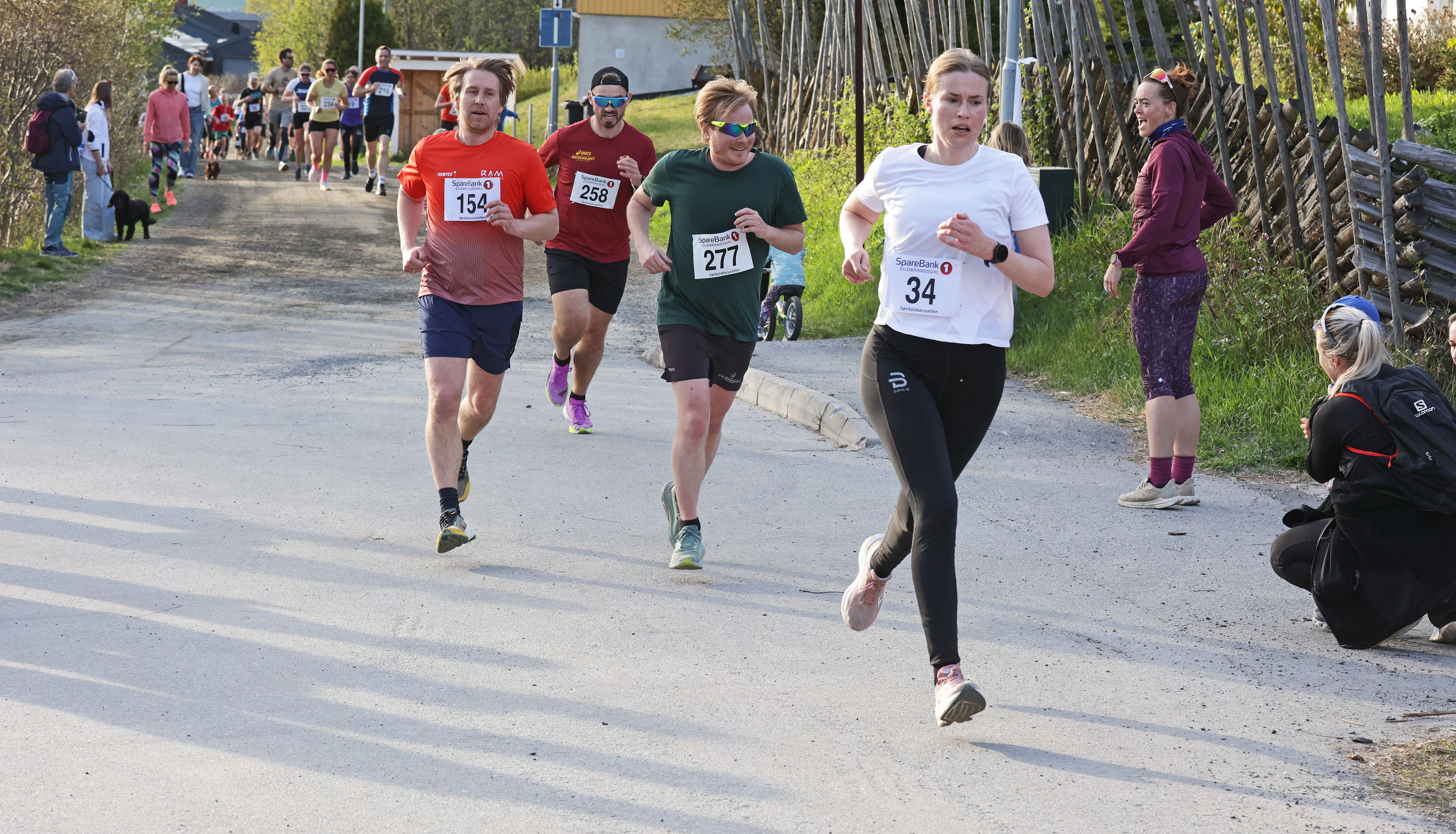 Kringsjåløpet 
Fellesstart 29 april kl 19:00 
Virtuelt lørdag 25. - tirsdag 28 april
Kontrollmålt 3 km
Nordre Ål Skole
Arrangør: Gudbrandsdal Politi IL