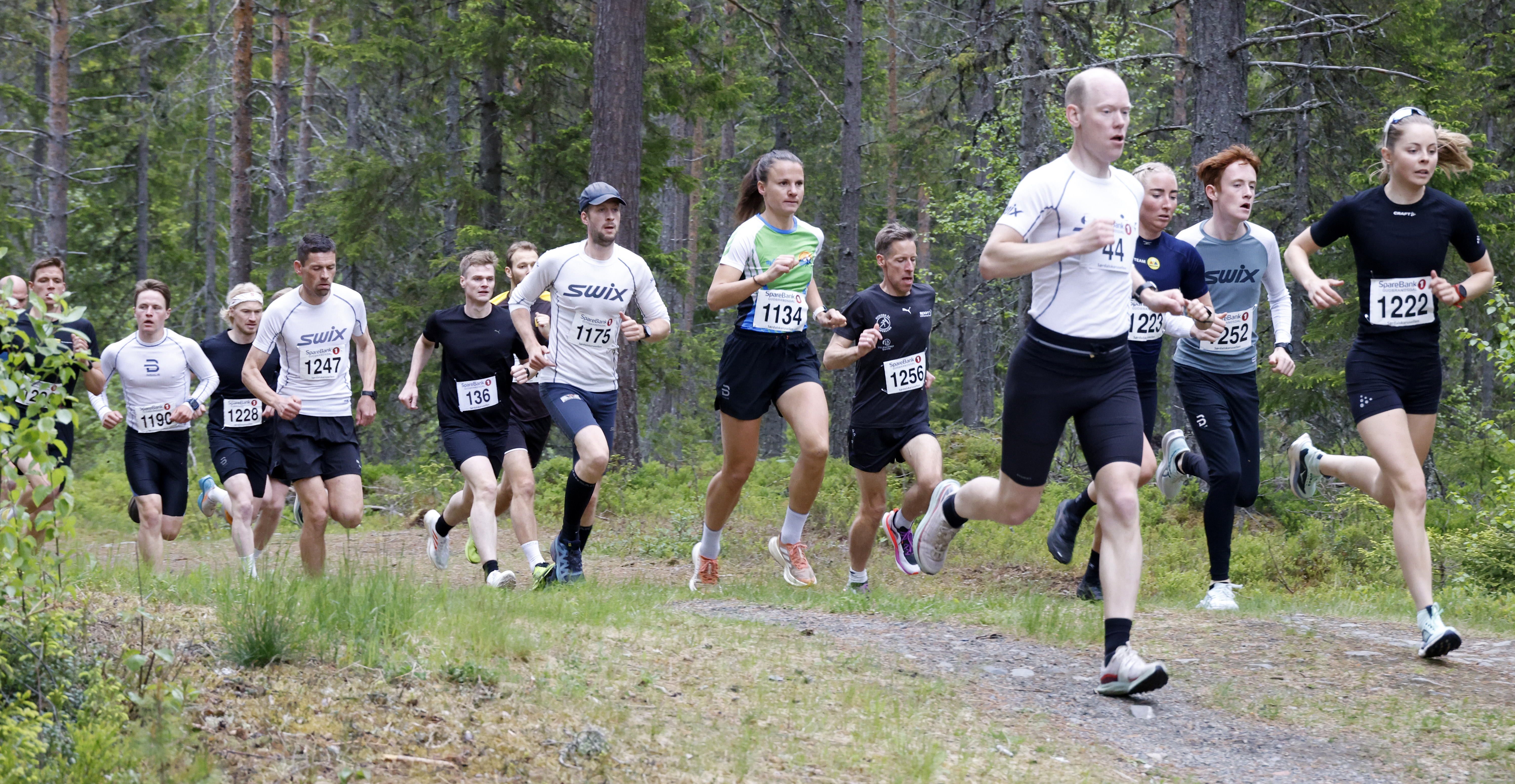 Fellesstart 3. juni kl 19:00
Virtuelt lørdag 30. mai - tirsdag 2. juni
5,7 km
Birkebeineren Skistadion
Arrangør: SpareBank1 Gudbrandsdal 
i samarbeid med Litrim
