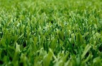 ROTETE START, MEN STORSEIER TIL SLUTT