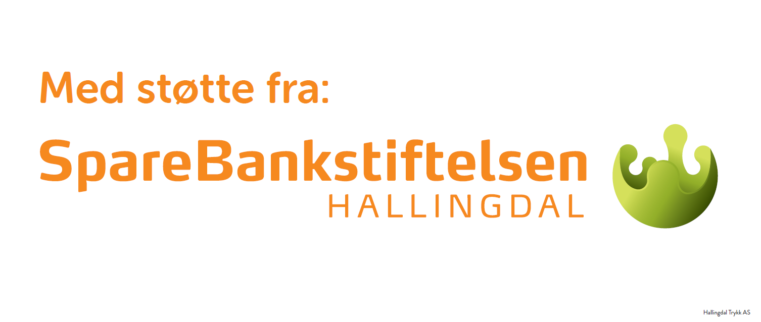 Støtte fra Sparebankstiftelsen Hallingdal