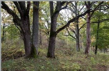 Familietur søndag 18 august