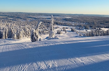 Terminliste med Alpin aktiviteter på Budor 2021