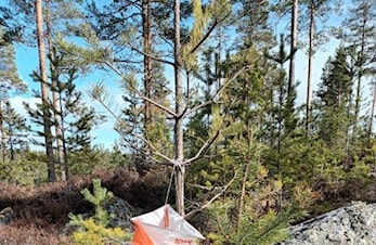 Treningsløp Kølabånn