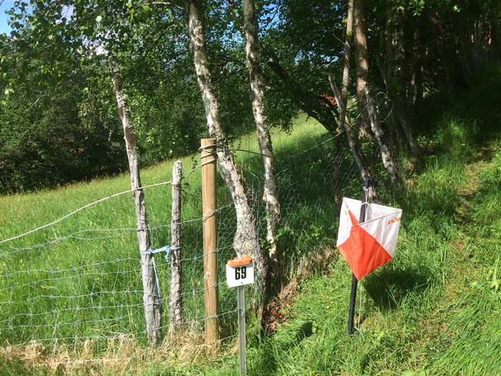 Nær o-løp nr. 4 på Ullsheim