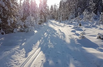 Løypedugnad 5. november 2017