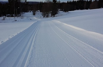 Velkommen til lysløyperenn i Åsmarka!
